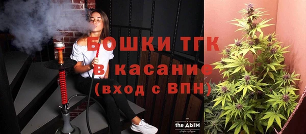 PSILOCYBIN Осташков