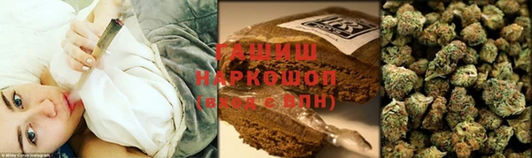 PSILOCYBIN Осташков