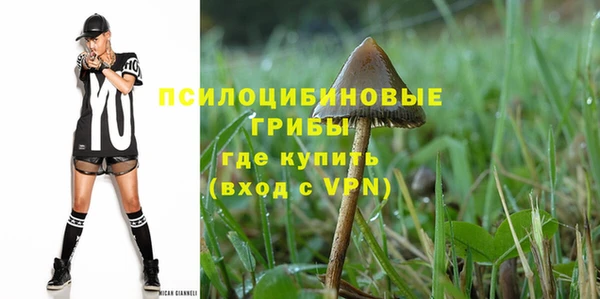 ECSTASY Няндома